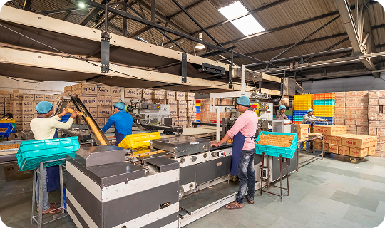 SOBISCO-Biscuits-Factory-Workers